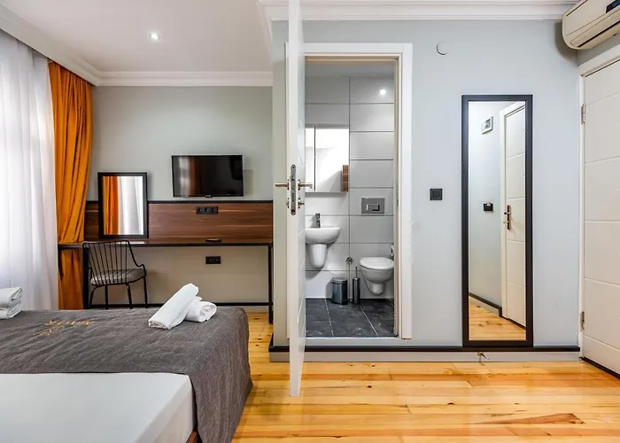 Mayer Select איסטמבול