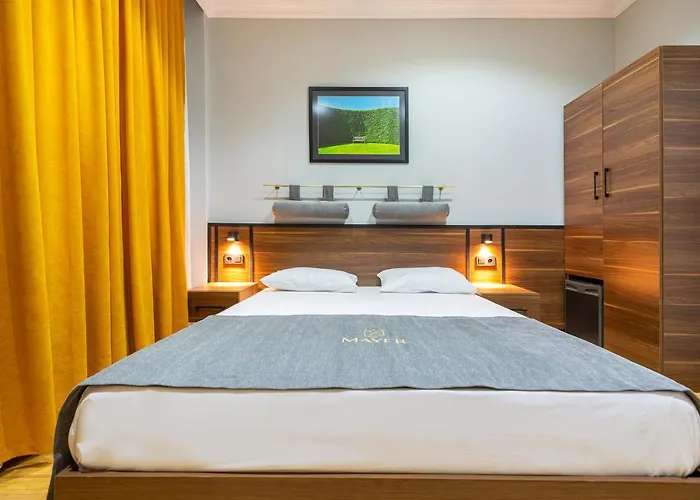 Otel Mayer Select 3*